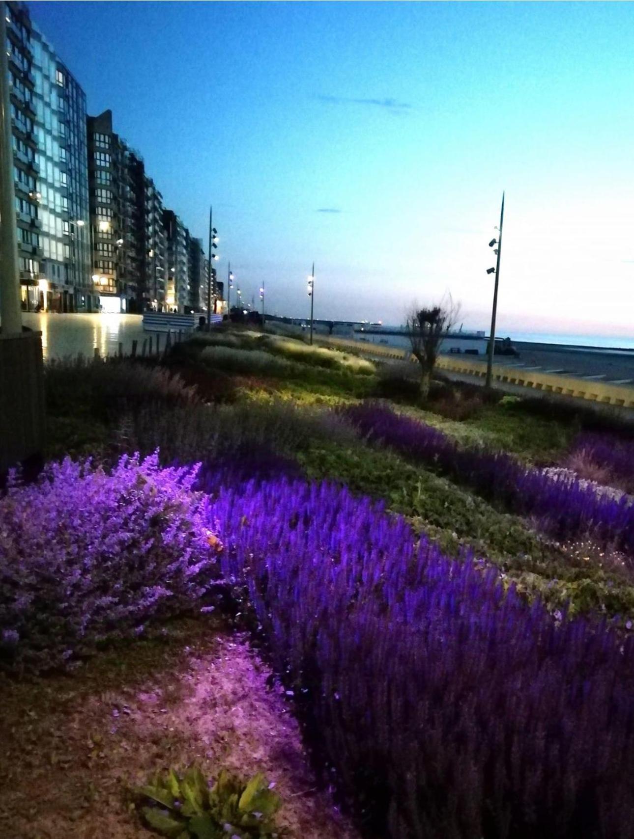 West-End Beach Middelkerke Exterior photo